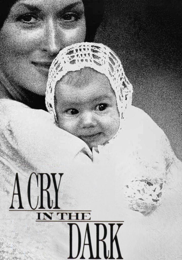 Un grito en la oscuridad película Ver online